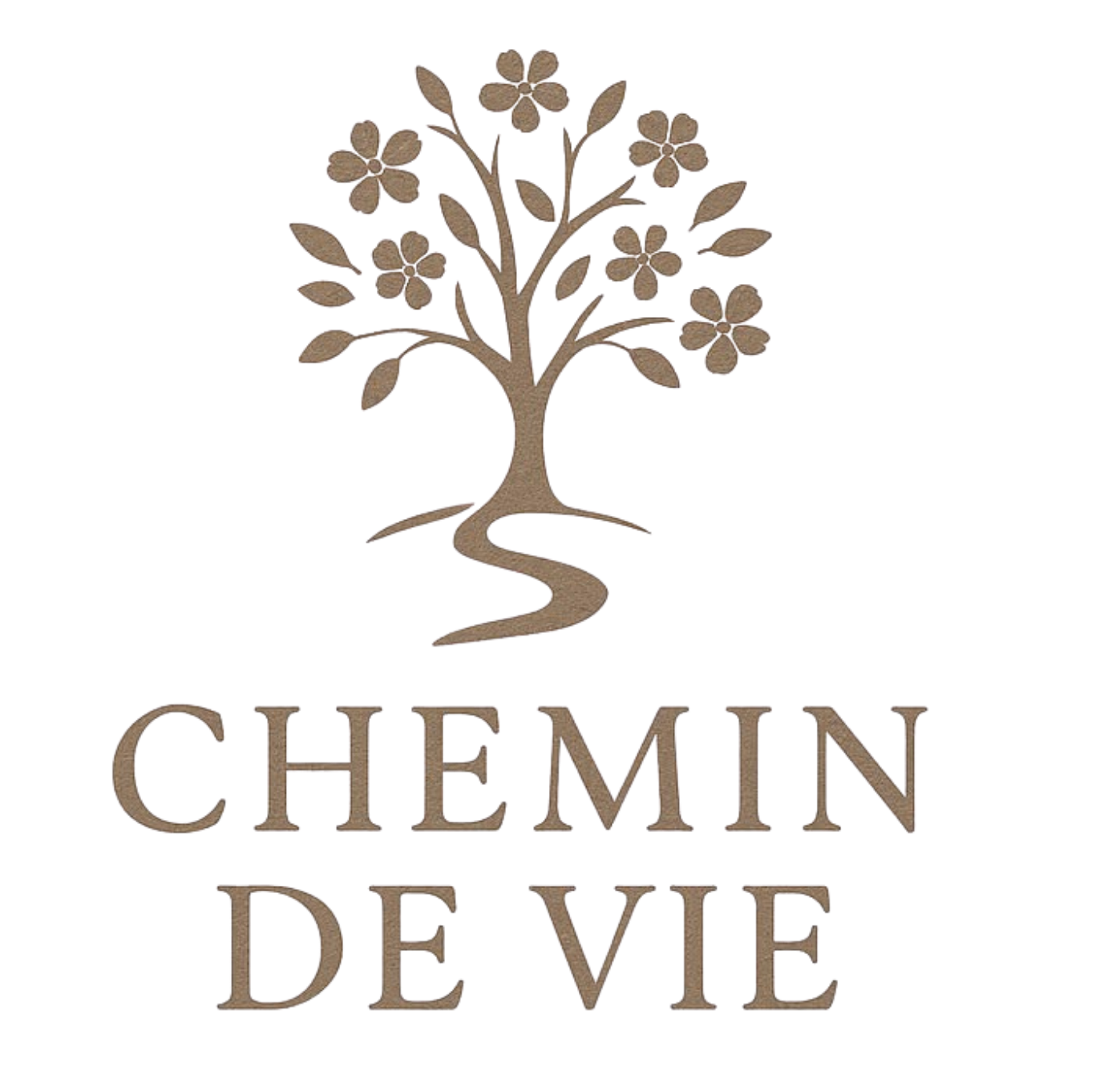Chemin de vie